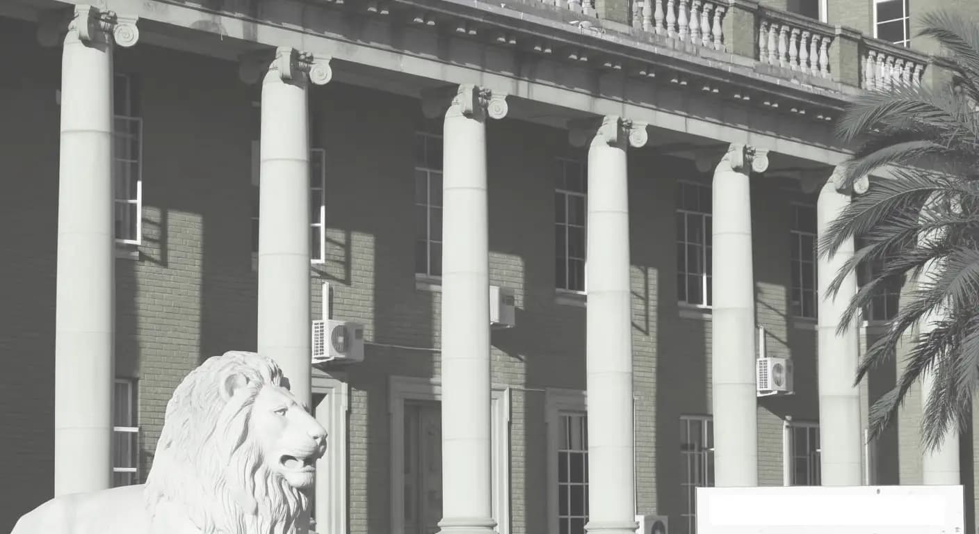 Constitutional consultation